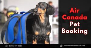 Air Canada Pet Booking