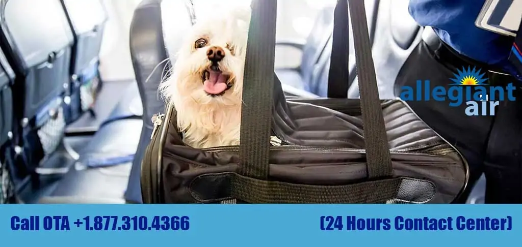 Allegiant Air Pet Travel Booking: Guide to Flying with Your Pet